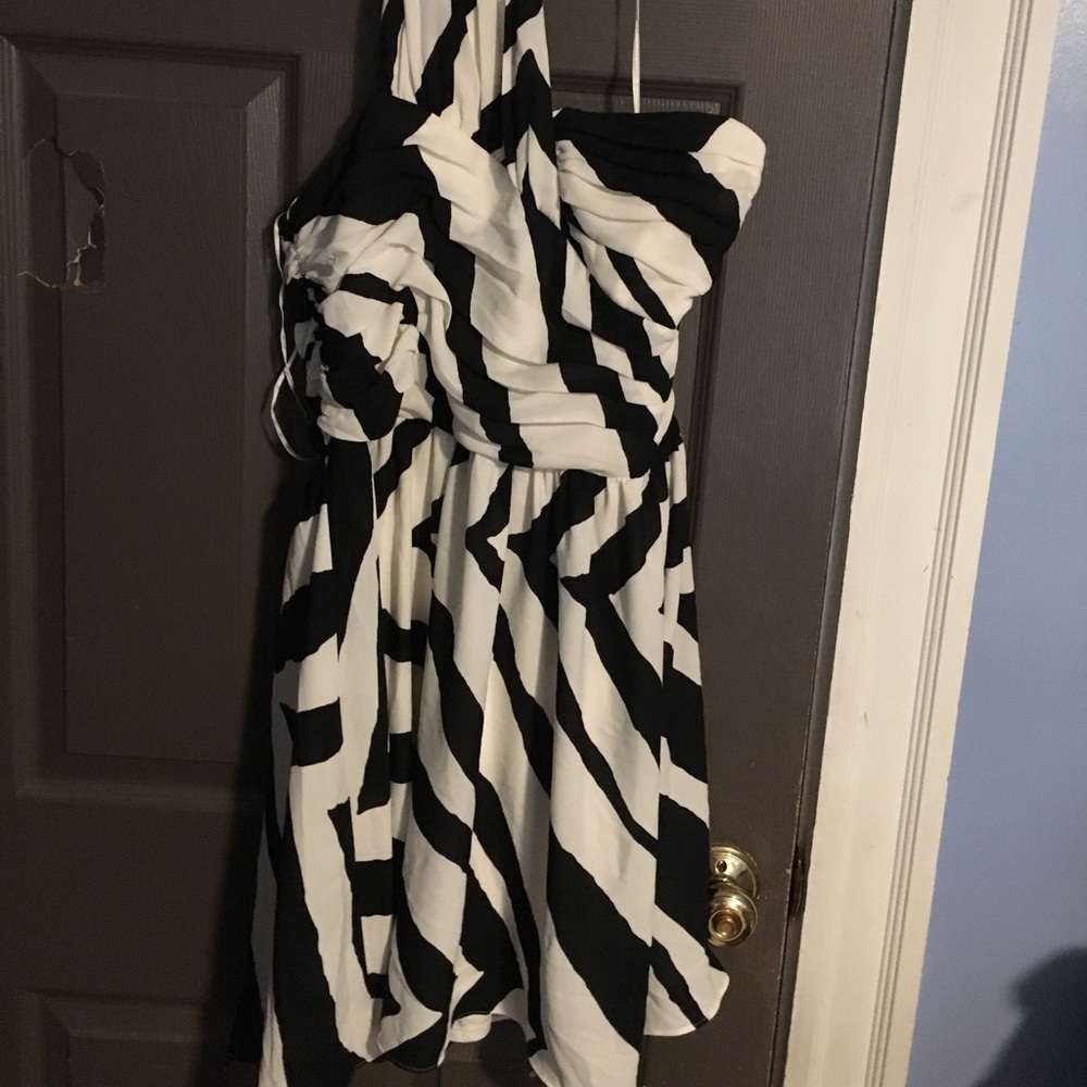 Express Zebra Dress